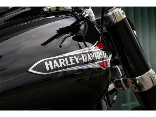 2019 Harley-Davidson Softail Slim