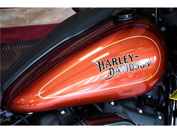 2022 HARLEY-DAVIDSON LOW RIDER EL DIABLO