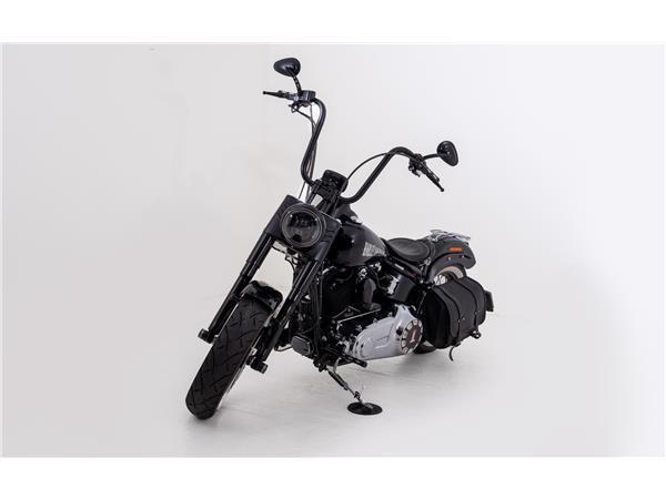 2015 harley-davidson FLS Softail Slim ABS