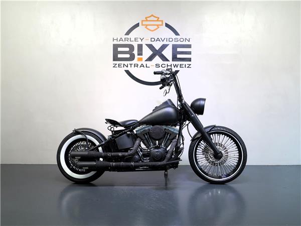 2013 harley-davidson FLSTN Softail Deluxe ABS