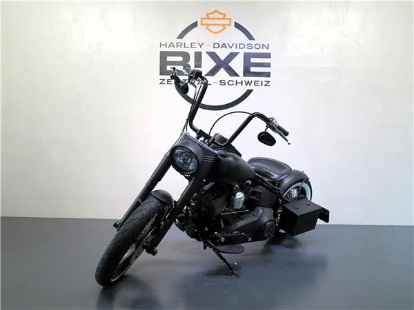 2013 harley-davidson FLSTN Softail Deluxe ABS