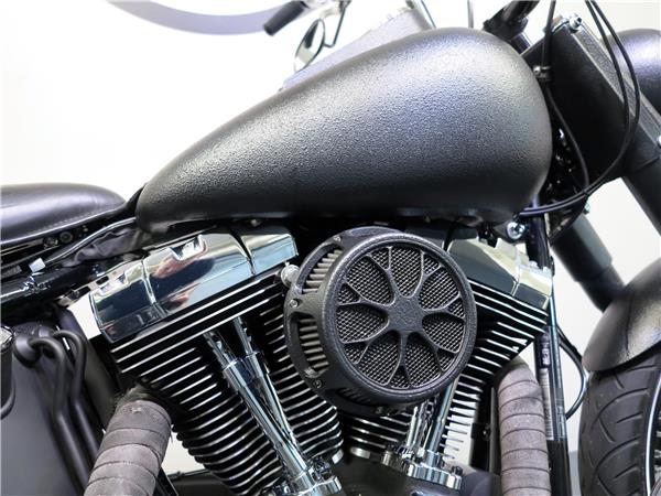 2013 harley-davidson FLSTN Softail Deluxe ABS