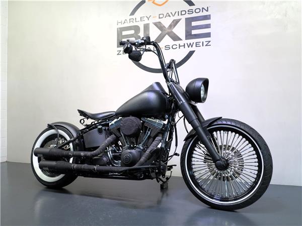 2013 harley-davidson FLSTN Softail Deluxe ABS