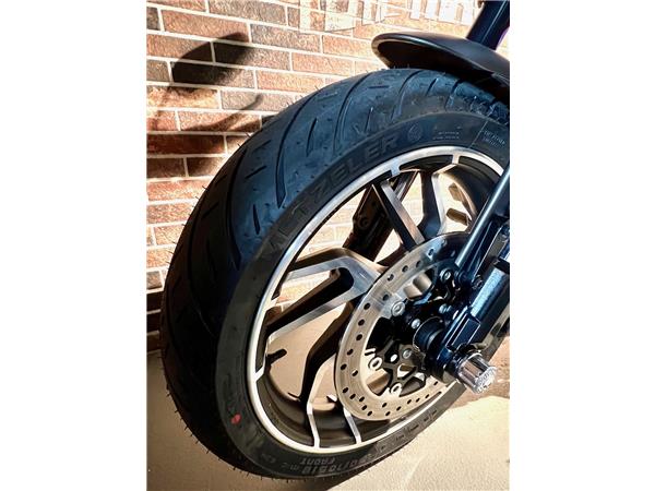2020 harley-davidson FLSB Sport Glide 107 ABS