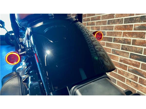 2014 harley-davidson FLS Softail Slim ABS