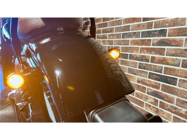 2014 harley-davidson FLS Softail Slim ABS