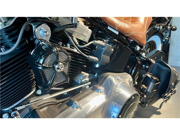 2014 harley-davidson FLS Softail Slim ABS