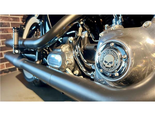 2014 harley-davidson FLS Softail Slim ABS