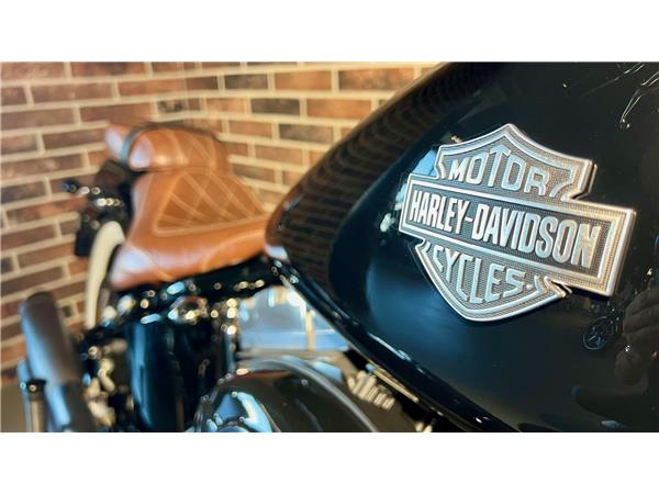 2014 harley-davidson FLS Softail Slim ABS