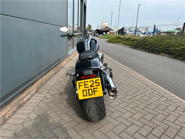 2025 HARLEY-DAVIDSON Softail