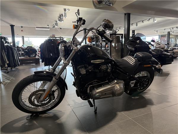 2021 Softail Standard