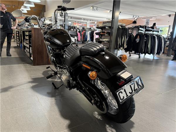 2021 Softail Standard