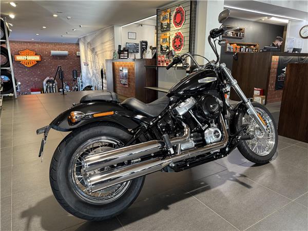 2021 Softail Standard