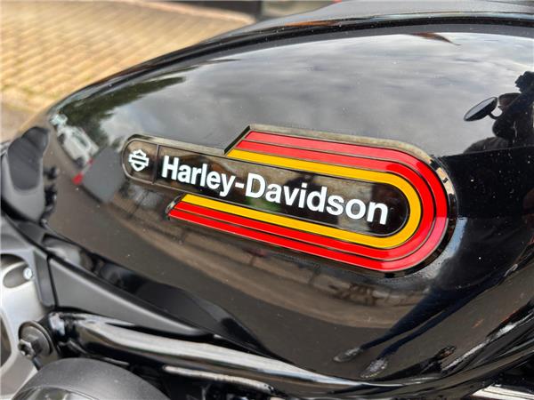 2023 HARLEY-DAVIDSON NIGHTSTER SPECIAL