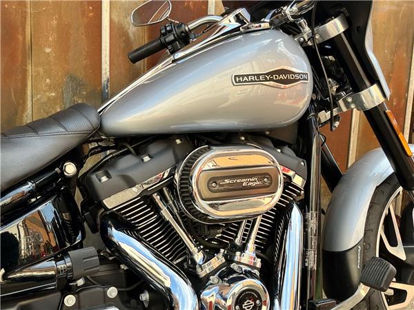 2019 Harley-Davidson Softail