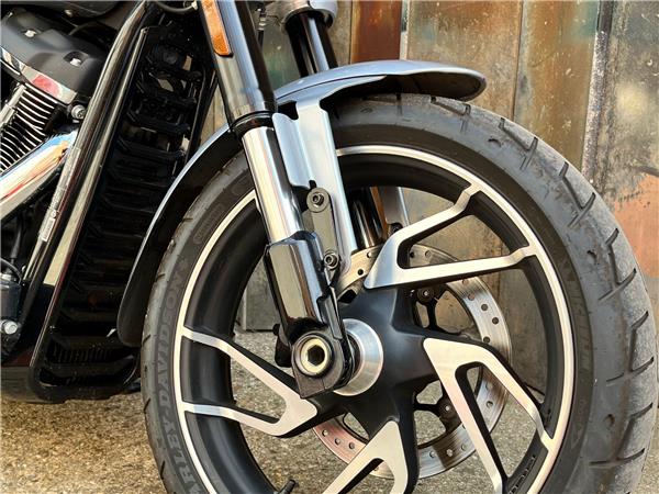 2019 Harley-Davidson Softail