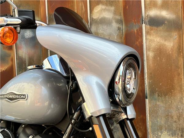 2019 Harley-Davidson Softail