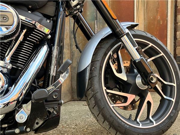2019 Harley-Davidson Softail