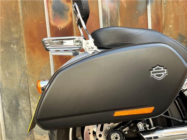 2019 Harley-Davidson Softail