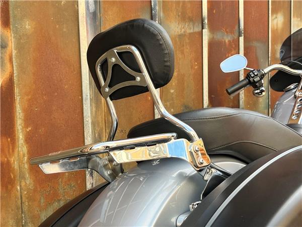 2019 Harley-Davidson Softail