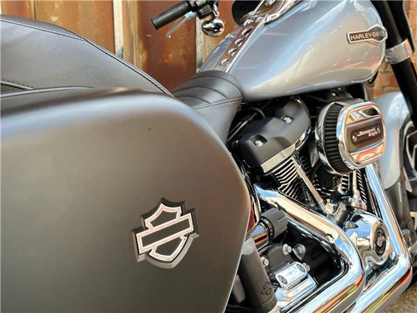 2019 Harley-Davidson Softail