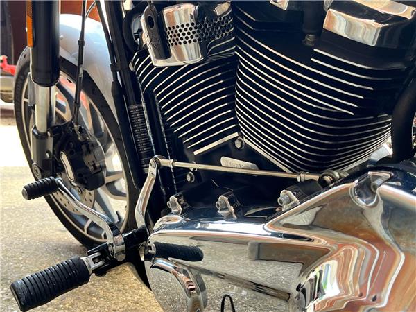 2019 Harley-Davidson Softail