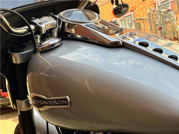 2019 Harley-Davidson Softail