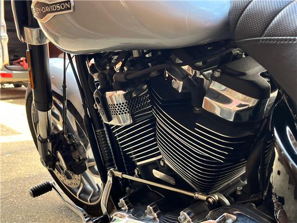 2019 Harley-Davidson Softail