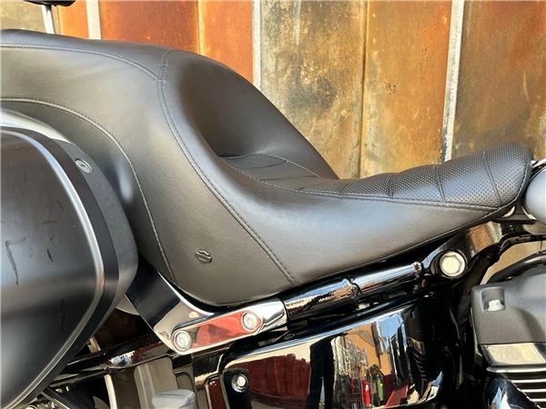 2019 Harley-Davidson Softail