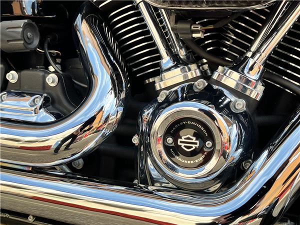 2019 Harley-Davidson Softail