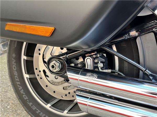 2019 Harley-Davidson Softail