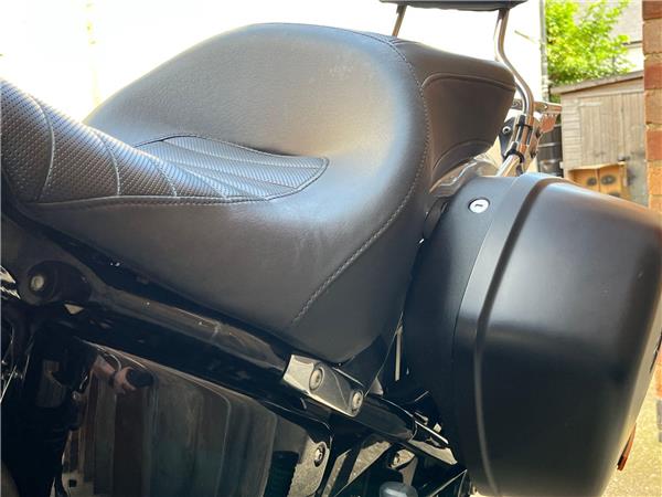 2019 Harley-Davidson Softail