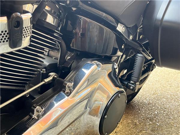 2019 Harley-Davidson Softail