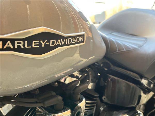 2019 Harley-Davidson Softail