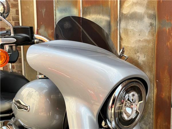 2019 Harley-Davidson Softail