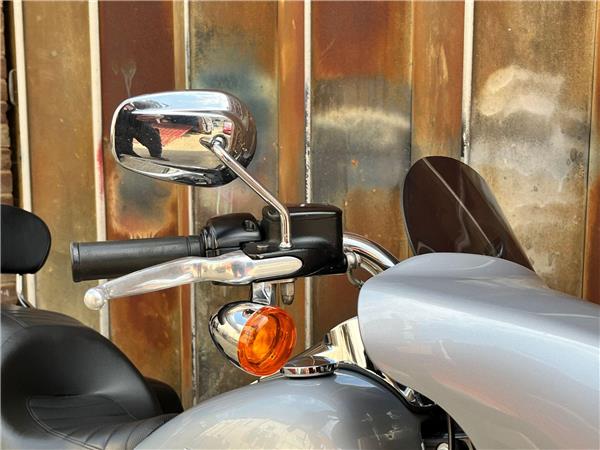2019 Harley-Davidson Softail