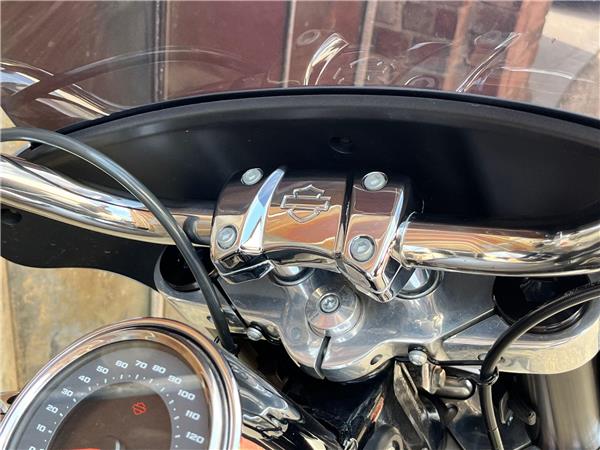 2019 Harley-Davidson Softail
