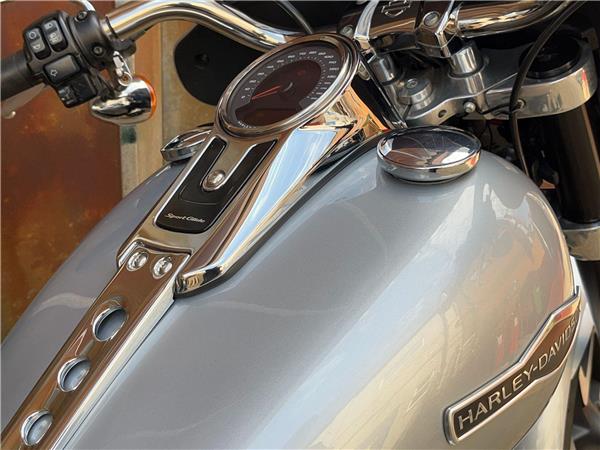 2019 Harley-Davidson Softail