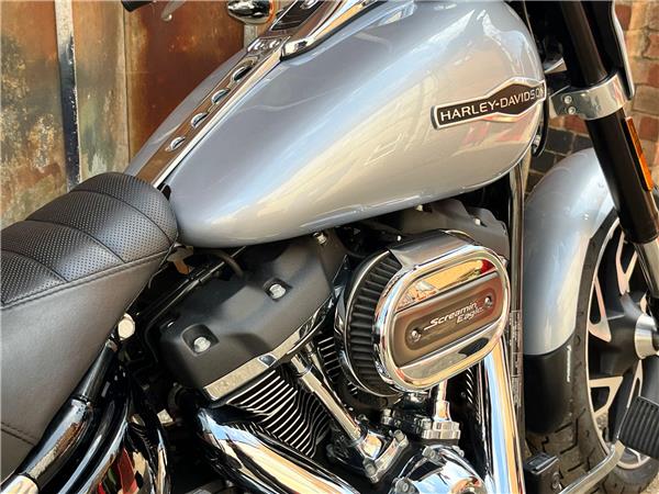2019 Harley-Davidson Softail