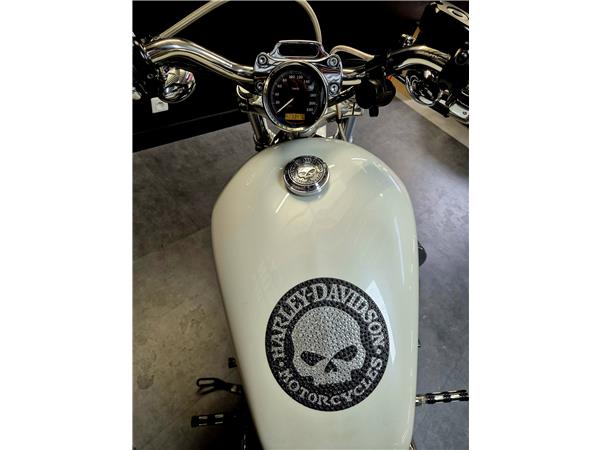 2013 HARLEY-DAVIDSON CUSTOM