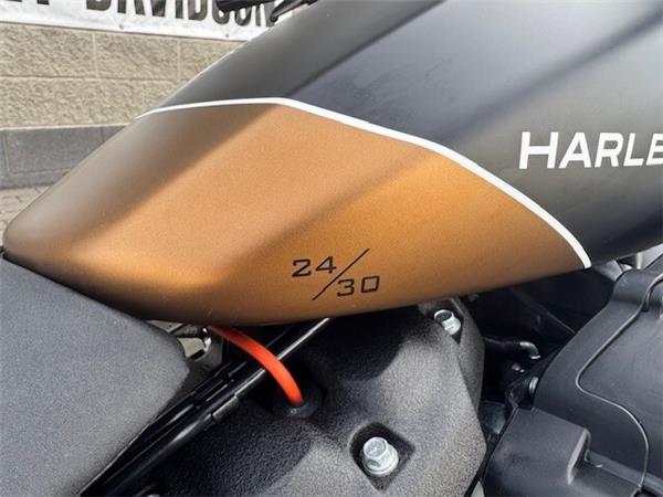 2019 Harley-Davidson FXDR 114