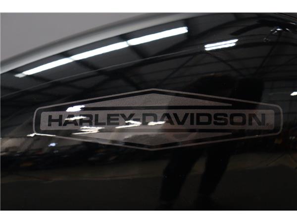 2021 HARLEY-DAVIDSON SOFTAIL FXST STANDARD