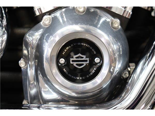 2021 HARLEY-DAVIDSON SOFTAIL FXST STANDARD