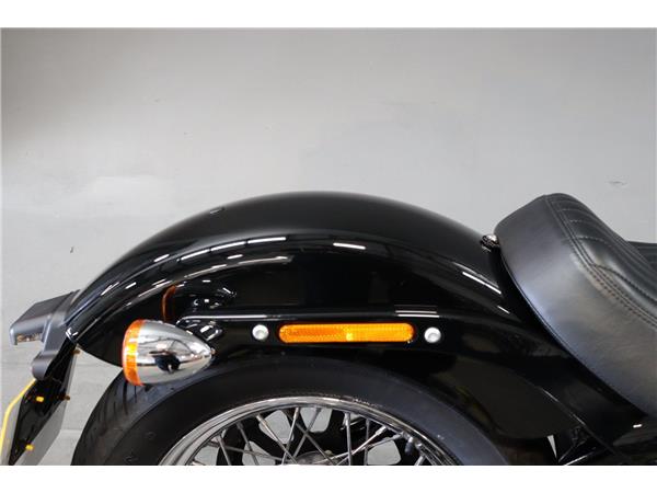 2021 HARLEY-DAVIDSON SOFTAIL FXST STANDARD