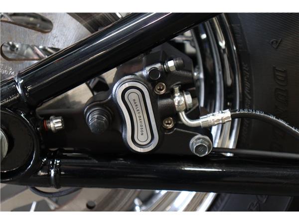 2021 HARLEY-DAVIDSON SOFTAIL FXST STANDARD
