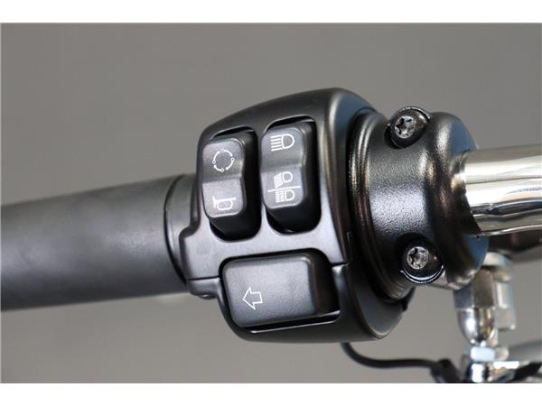 2021 HARLEY-DAVIDSON SOFTAIL FXST STANDARD