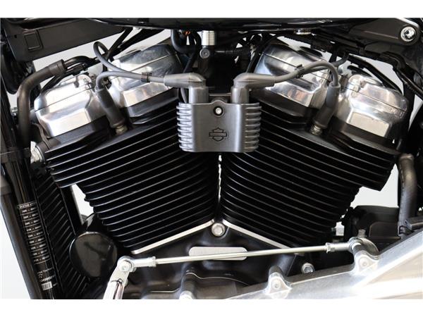 2021 HARLEY-DAVIDSON SOFTAIL FXST STANDARD