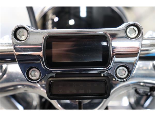 2021 HARLEY-DAVIDSON SOFTAIL FXST STANDARD