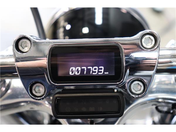 2021 HARLEY-DAVIDSON SOFTAIL FXST STANDARD