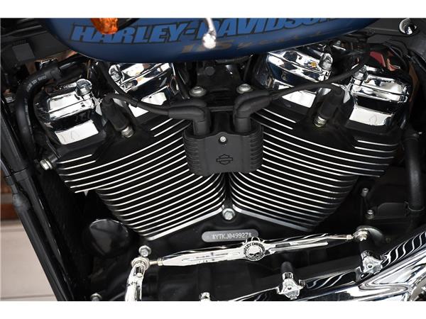 2018 HARLEY-DAVIDSON SOFTAIL FXBRS BREAKOUT 114